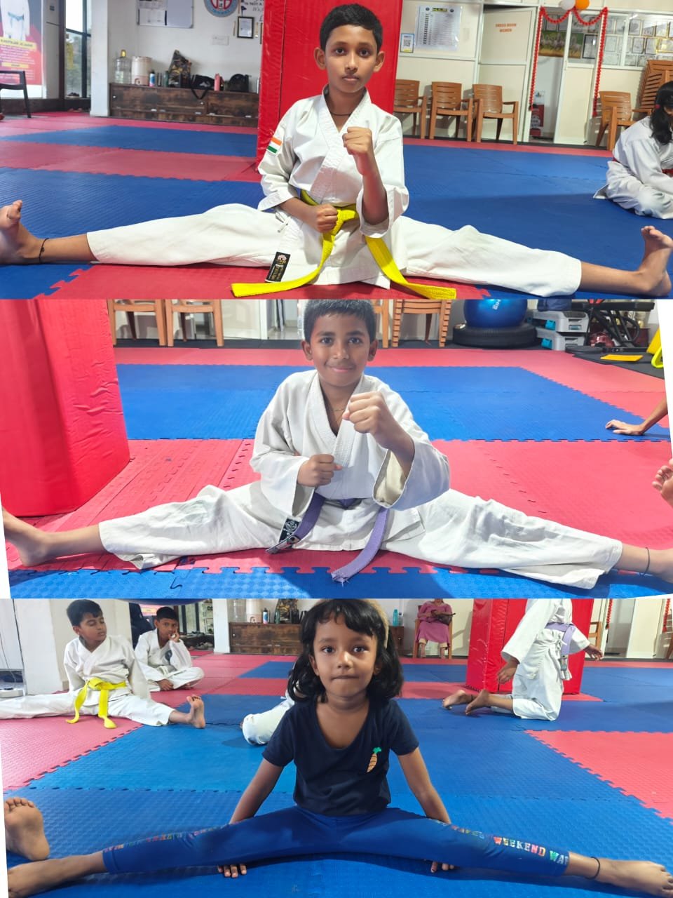 MLA Martial Arts Academy photo