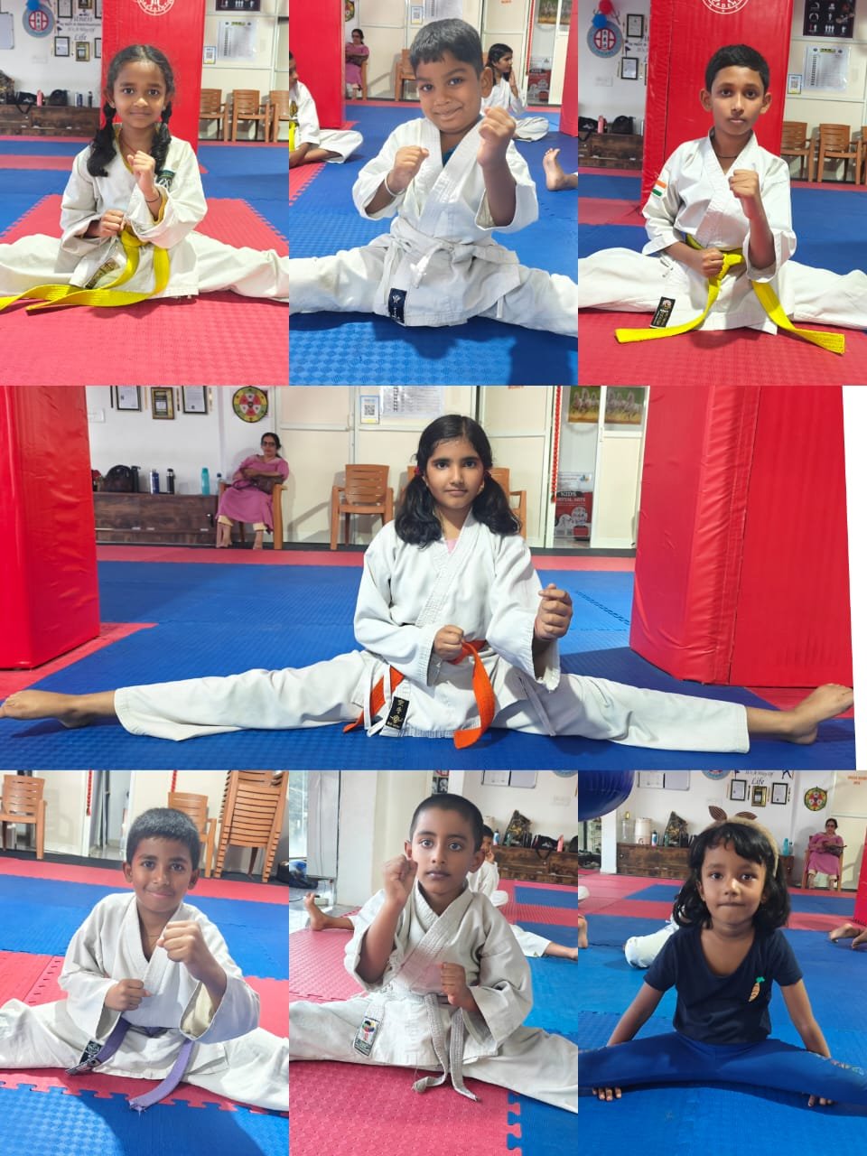 Martial arts training